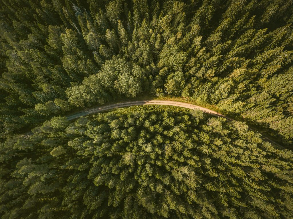 TRINITI konsultuoja „Elektrum Lietuva“ dėl saulės energijos tiekimo reguliavimo