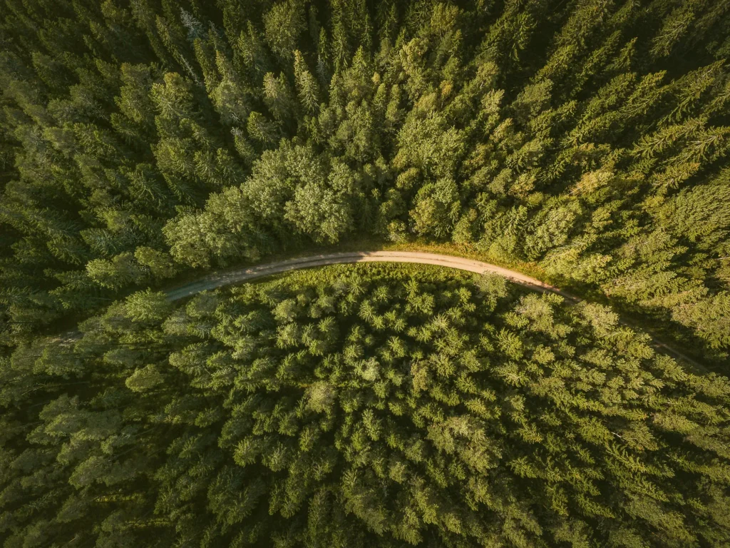 TRINITI aplinkos apsaugos vadybos priemonių taisyklės